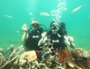 Co To unveils smart app to boost digital governance, sustainable tourism